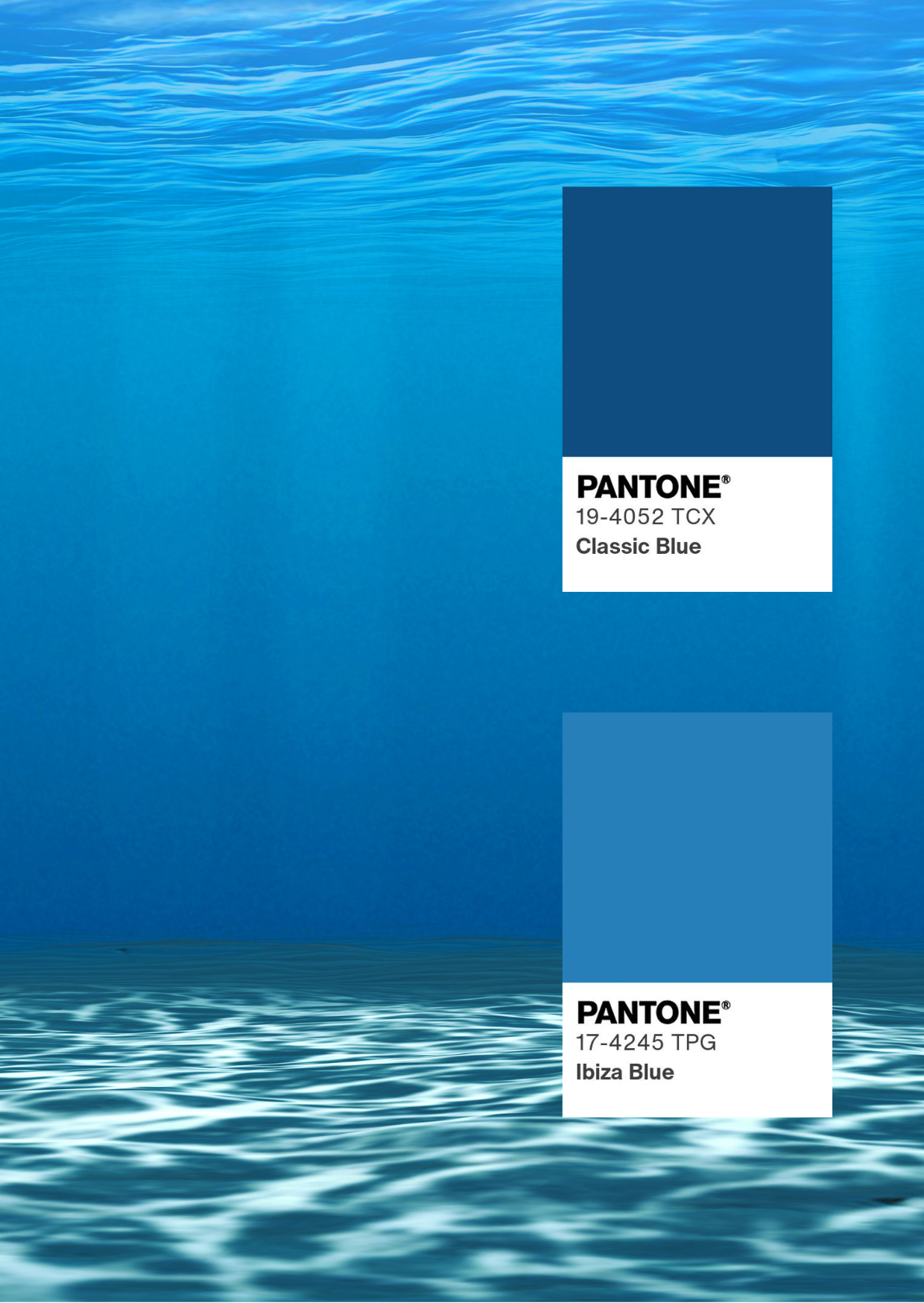 Celine Ruched Bottom (Oceana)